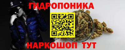 бошки Можга