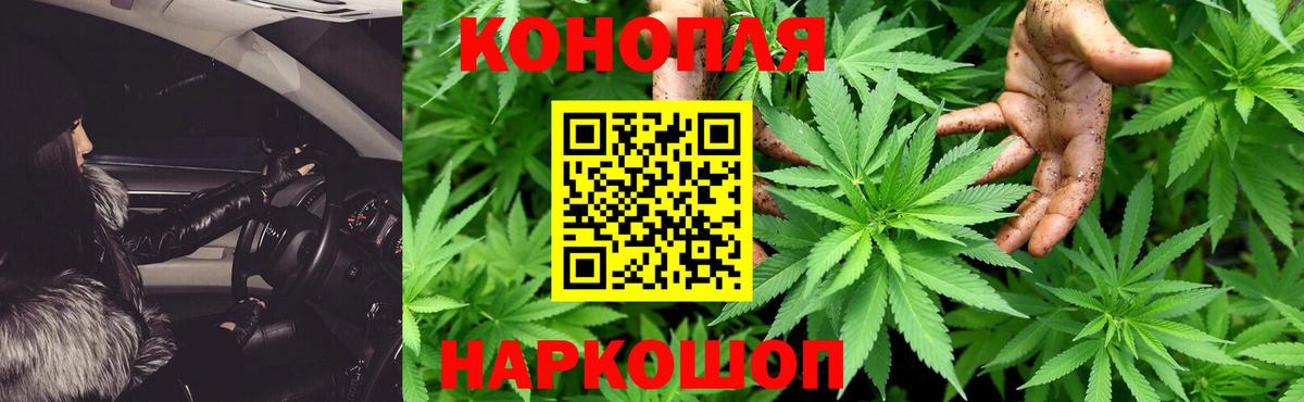 Бошки Шишки тримм  Канабис сатива  Бошки Шишки конопля  МАРИХУАНА OG Kush  Вход с VPN  Урюпинск 